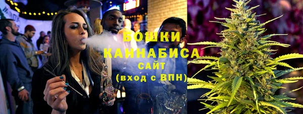 индика Нефтегорск