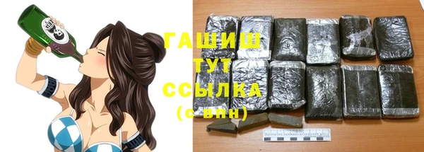 индика Нефтегорск