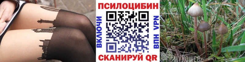 Псилоцибиновые грибы Magic Shrooms  даркнет какой сайт  Мытищи 