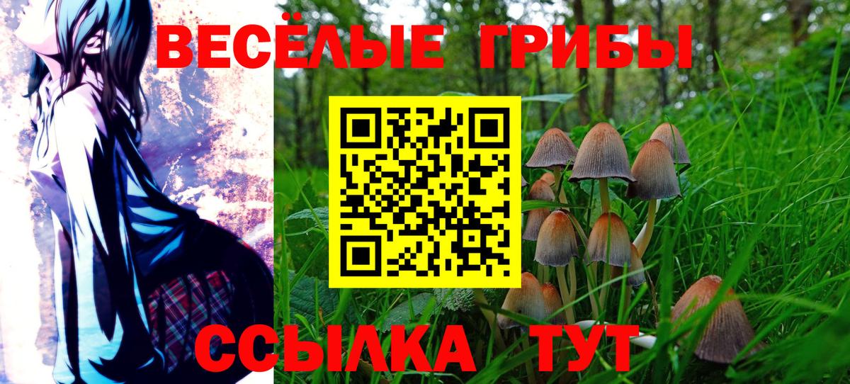 Галлюциногенные грибы Magic Shrooms  Вход с VPN  Мытищи 
