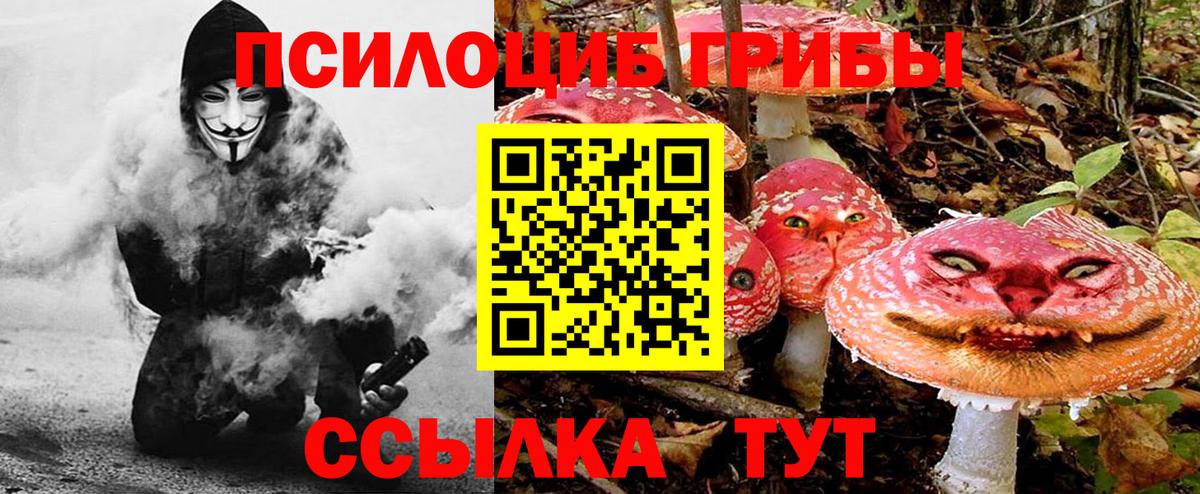 Псилоцибиновые грибы Psilocybe Мытищи